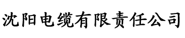 国产精品久线在线观看电缆厂logo